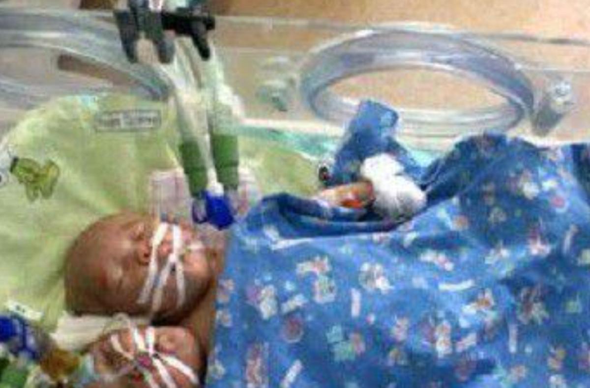 雙頭姐妹，時(shí)代背景下的傳奇故事最新進(jìn)展