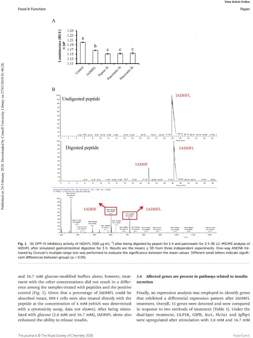 糖肽最新文獻，自然之旅的心靈探尋之旅，尋找內(nèi)心的寧靜