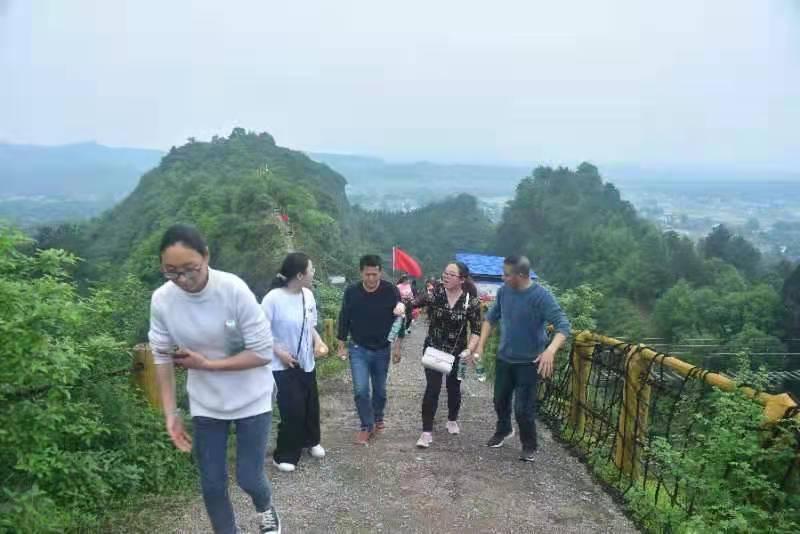 龍門軍少最新論述解析