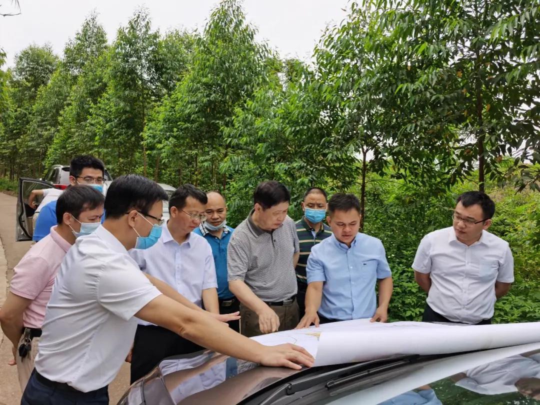 南寧龍象谷最新資訊，游玩指南與技能學(xué)習(xí)步驟全解析