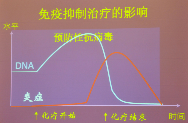 肝炎新進(jìn)展揭秘，小巷深處的秘密小店探索