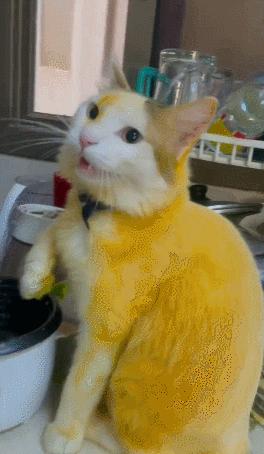 男友最新動(dòng)態(tài)，科技巔峰之作，引領(lǐng)未來生活新紀(jì)元風(fēng)潮