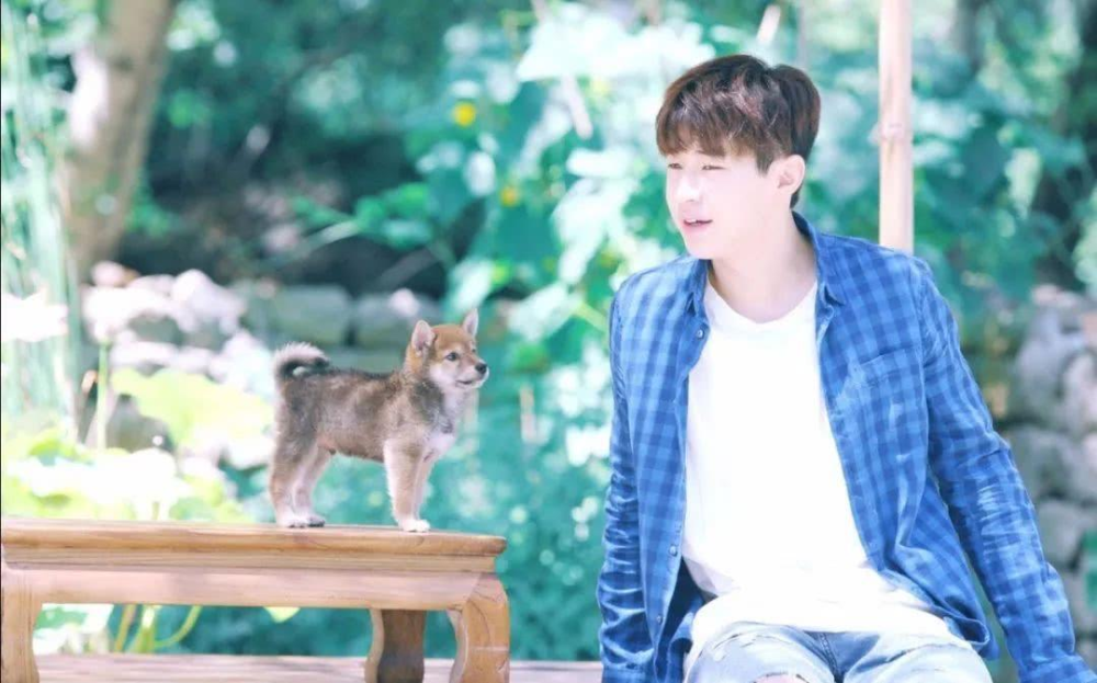 夏雪黃磊攜手演繹別樣精彩人生，新作品震撼來襲！???