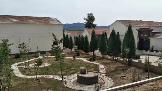 上莊最新動態(tài)，綠意盎然的新居生活????