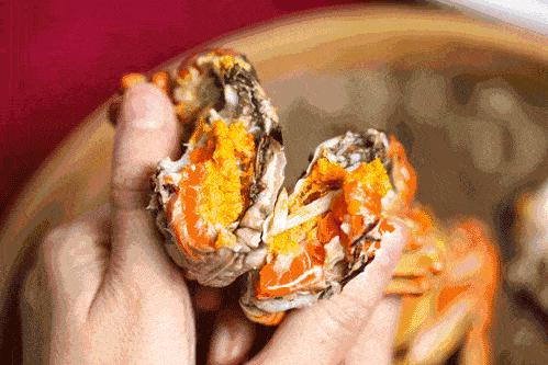 ??陽澄湖螃蟹上市季節(jié)情報，吃貨必知的秋季美味盛宴！??