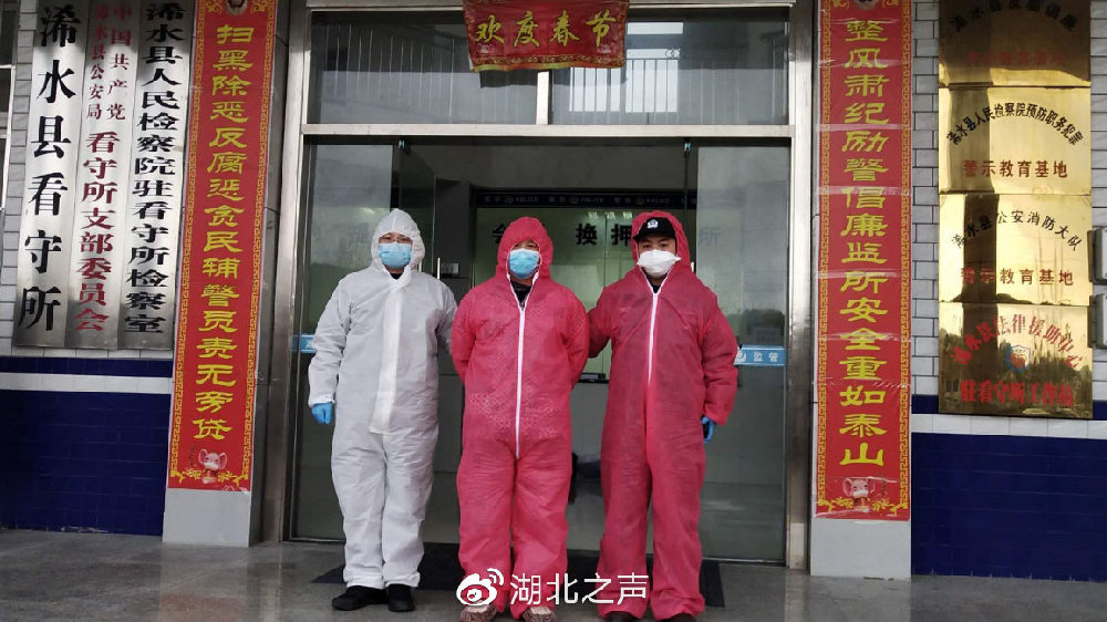 浠水最新疫情,浠水最新疫情下的自然探索之旅，尋找內(nèi)心的寧靜與平和