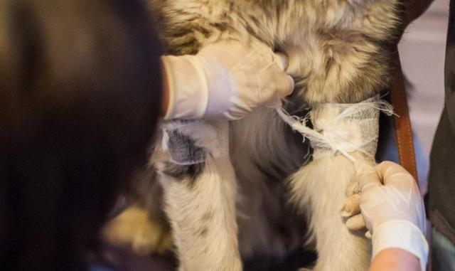 蘇州近期街邊情況，自然美景的心靈之旅體驗紀實