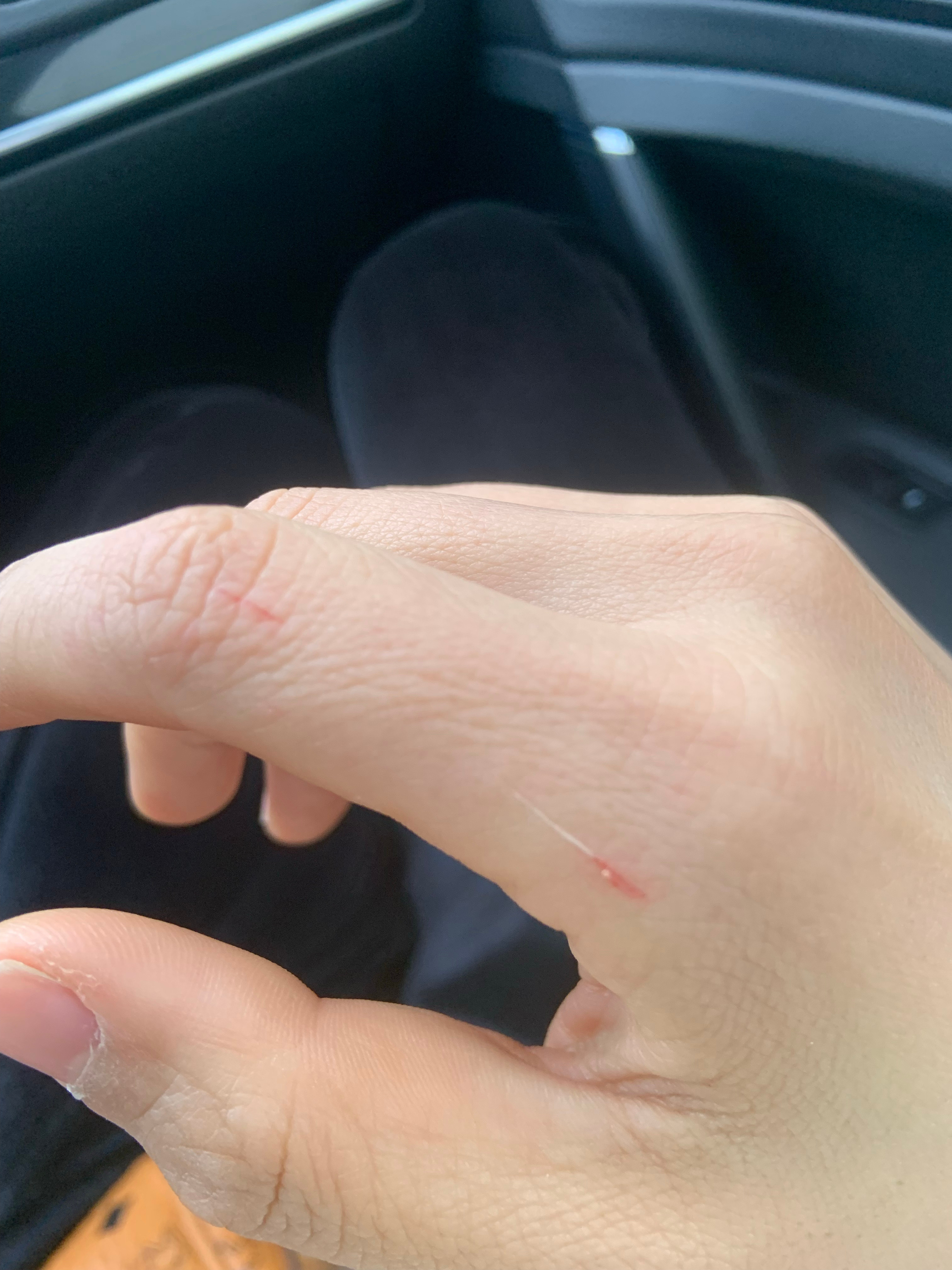 最新口子，開啟學(xué)習(xí)之旅，擁抱變化的力量