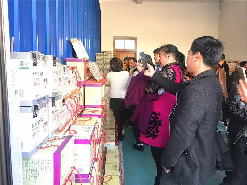 最新職業(yè)資訊，洞悉行業(yè)趨勢與人才需求洞察