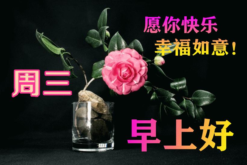 最新早晨問候動(dòng)態(tài)表情包，溫馨問候，從表情開始！