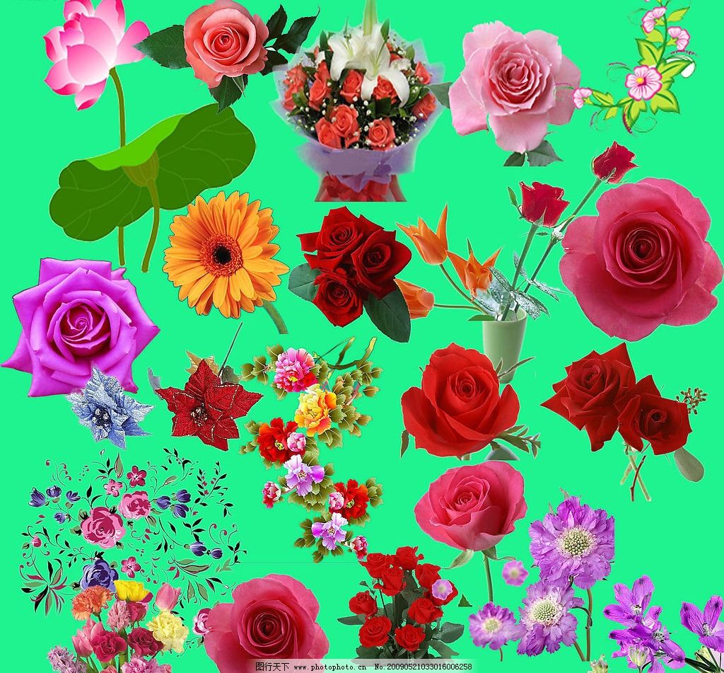 最新花款下載，愛與陪伴的溫馨之旅