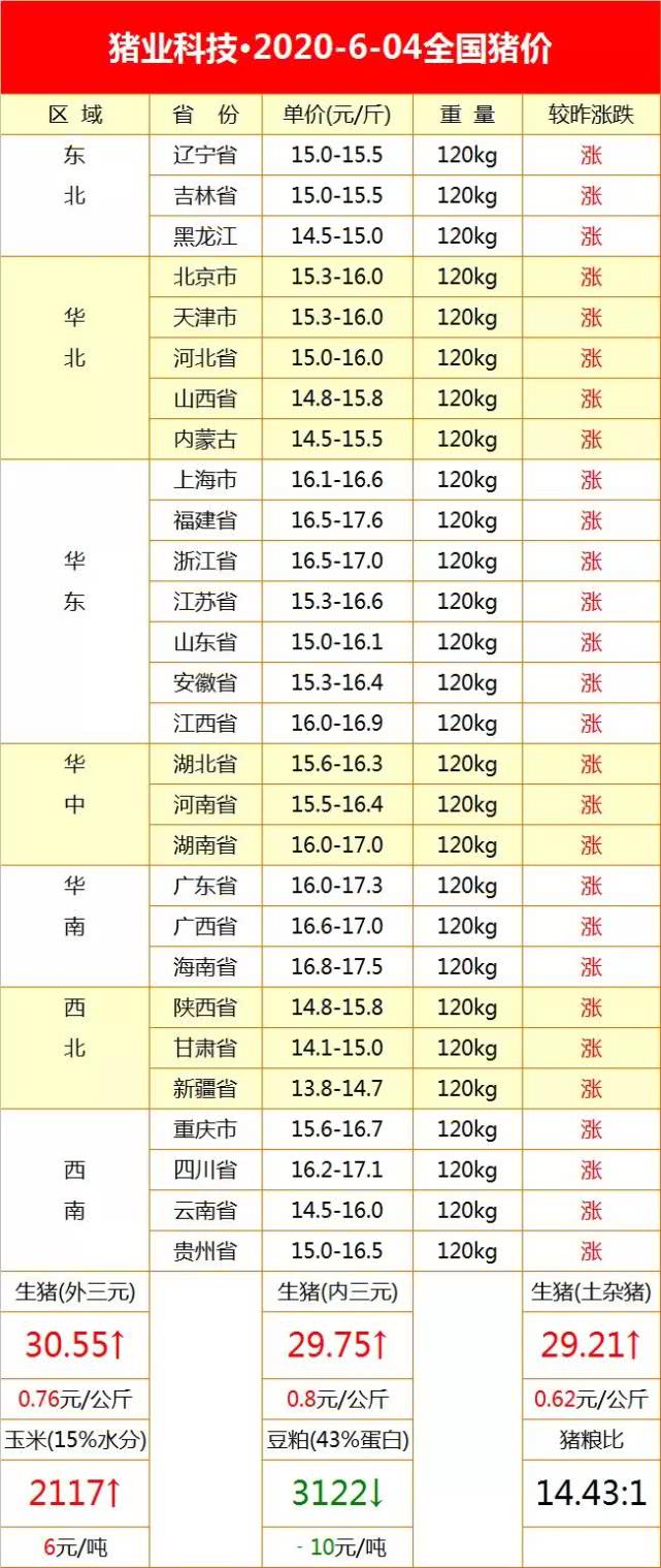 全國(guó)最新生豬價(jià)格今日豬價(jià)走勢(shì)，詳細(xì)步驟指南