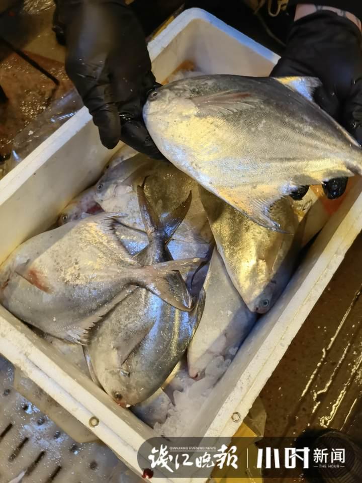 帶魚行情，一場(chǎng)海鮮盛宴的溫馨之旅