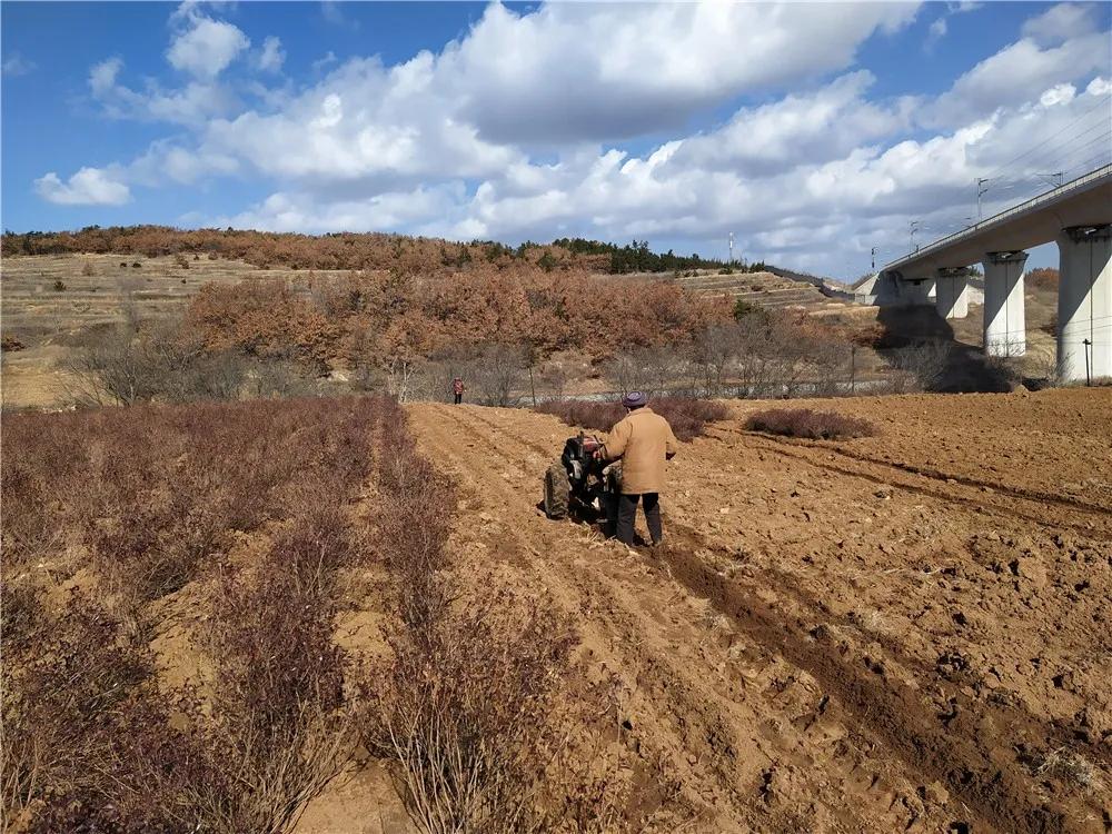 揭秘衡陽張家山規(guī)劃更新，小巷風(fēng)情與隱藏小店的獨特魅力