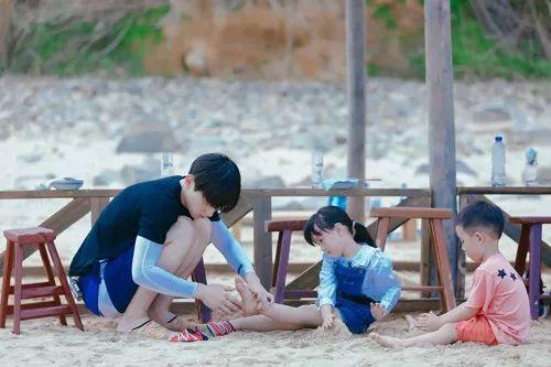 最新TV版資訊深度剖析，電視劇熱潮的影響力與影響