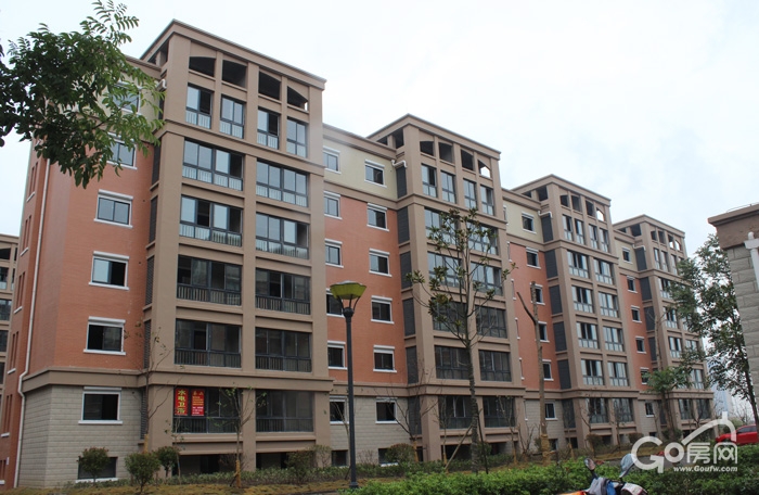 鹽城龍橋新園最新動(dòng)態(tài)揭秘，科技前沿引領(lǐng)新生活體驗(yàn)