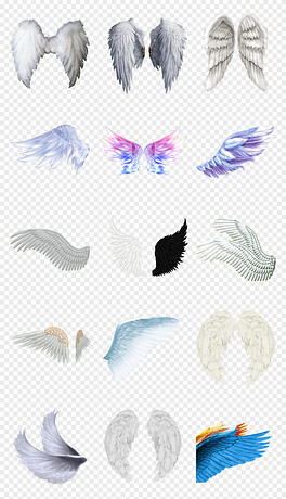 動(dòng)漫翅膀繪制指南，從白紙起步，繪出飛翔的勵(lì)志翅膀！