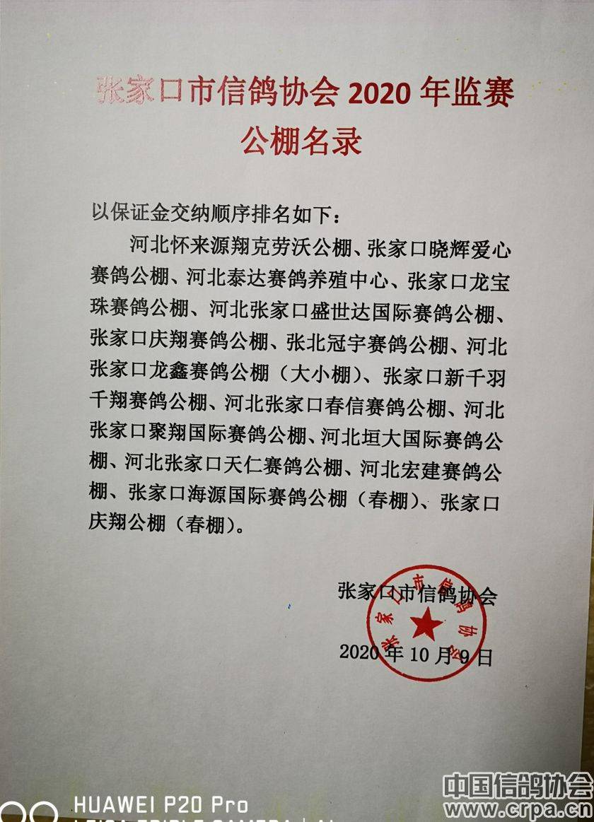 東光信鴿協(xié)會最新通告，小巷深處的獨(dú)特風(fēng)味揭秘與信鴿活動更新通知