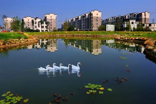 萍鄉(xiāng)安源湖，最新動(dòng)態(tài)揭示湖畔變革與自我超越之旅