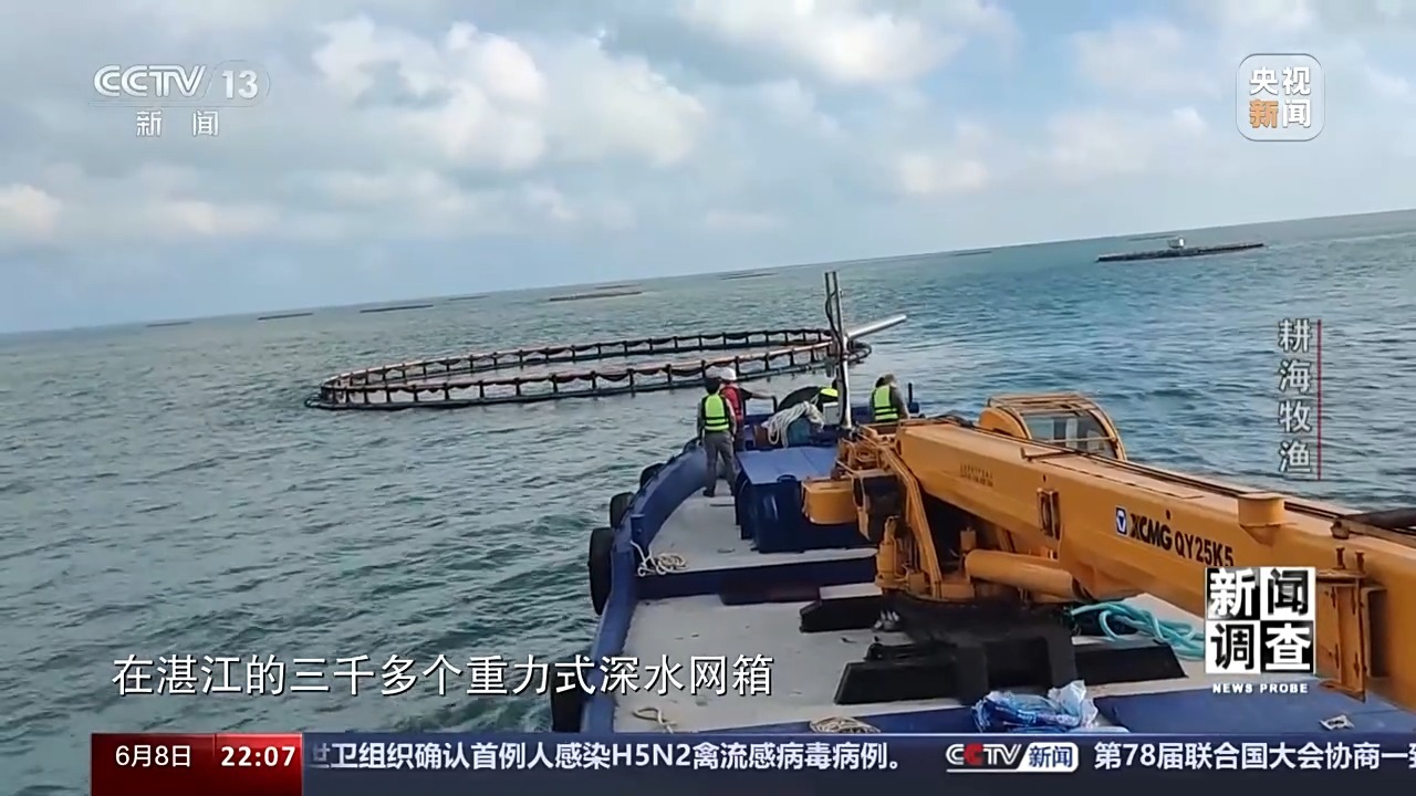 最新海水養(yǎng)殖,最新海水養(yǎng)殖，一種前沿農(nóng)業(yè)技術(shù)的觀點分析