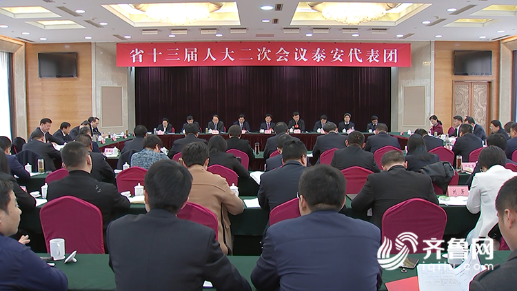 泰安市委最新領(lǐng)導(dǎo)陣容及其影響分析概述