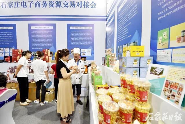 石家莊保稅區(qū)最新資訊，發(fā)展脈絡(luò)、地位影響及最新動態(tài)解析