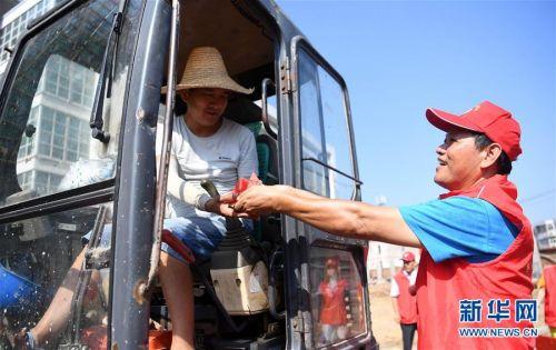 合肥西瓜最新售價揭秘，價格走勢大揭秘????