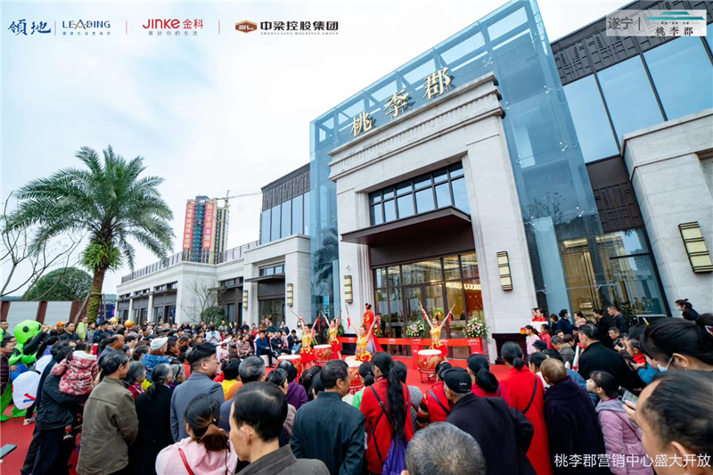 遂寧北濱郡府最新動態(tài)，小巷深處的獨特風味