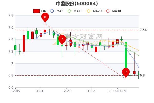 中葡股份股票行情深度分析與展望，未來走勢展望及行業(yè)前景預(yù)測。