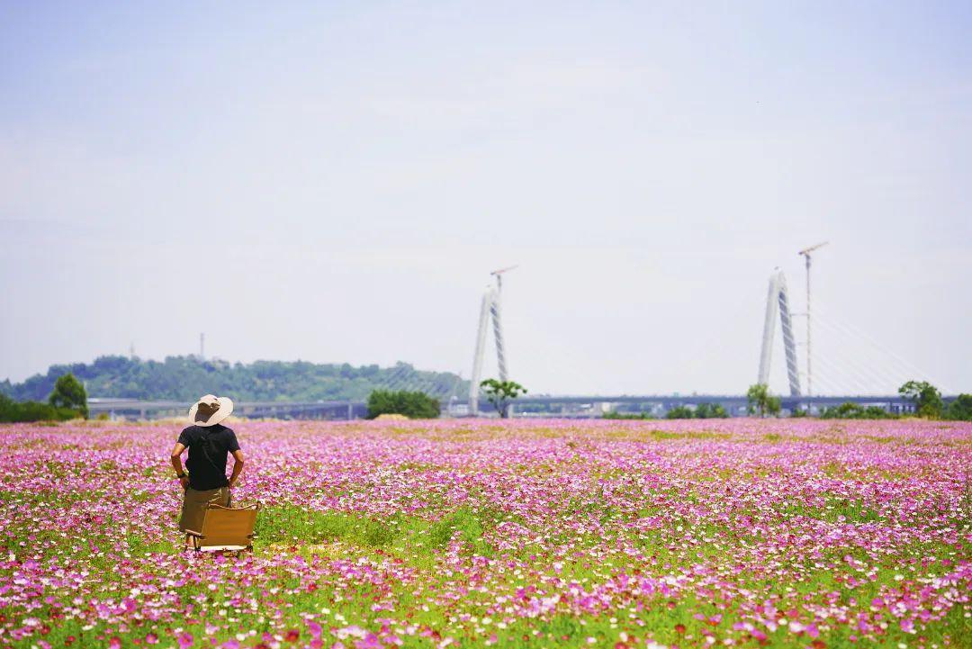 陳小北聚焦科技前沿，引領(lǐng)創(chuàng)新潮流新動(dòng)態(tài)