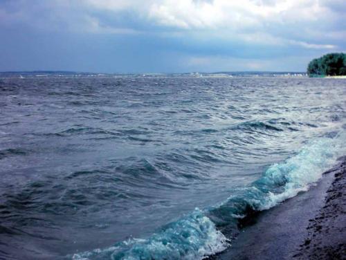 佳木斯新版，時(shí)代印記與變遷的見(jiàn)證者