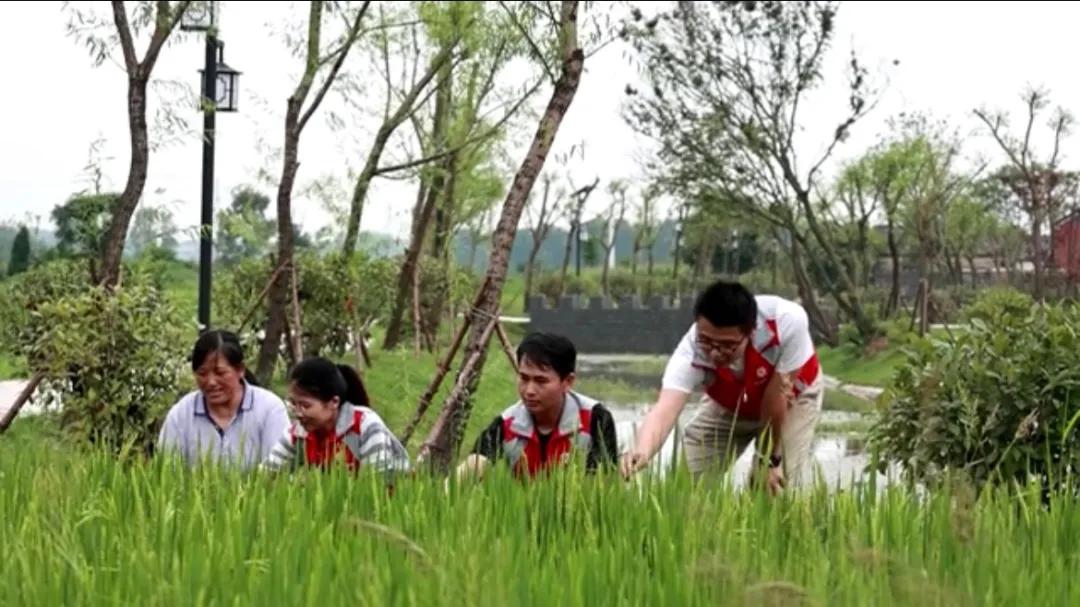曲陽縣城最新招聘信息揭秘，小巷中的獨(dú)特小店等你來探索！