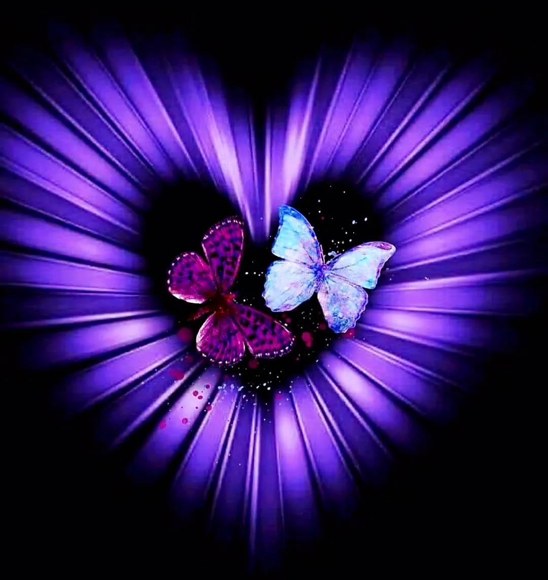 最新情感交流圈，學(xué)習(xí)、成長與自信的力量之源