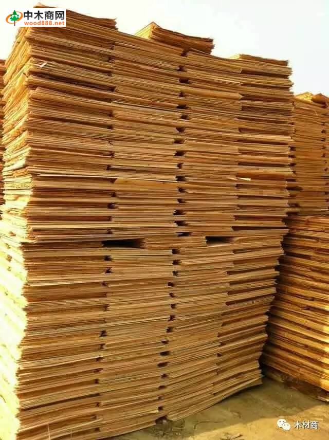 科技革新引領(lǐng)板皮廠行情，開啟板材加工新時代