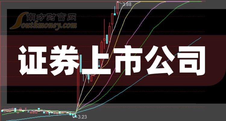 科技巨頭引領(lǐng)下的全新視界，股票上市公司概覽