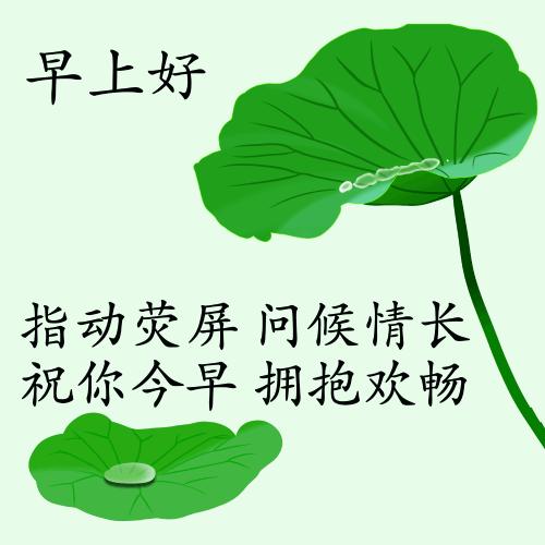 最新疫情動態(tài)