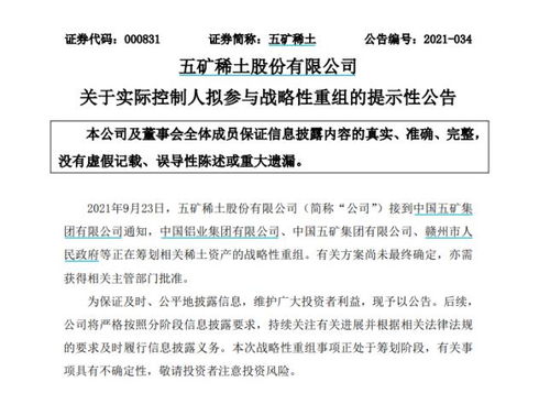 南方稀土股票，小巷中的隱秘寶藏，探索投資魅力的未知之旅