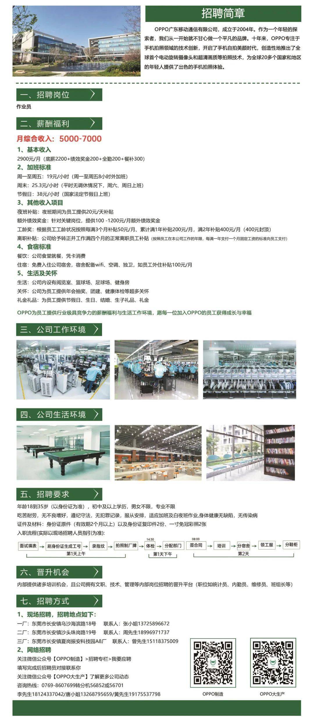 桐廬普工招聘信息揭秘，時代背景下的職場洞察