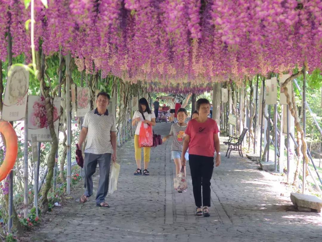 收入寶全新版本，家庭與友情的交織故事