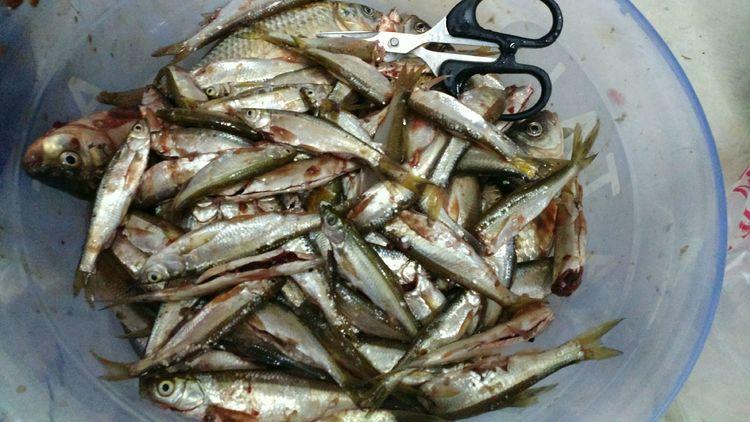 昆明最新野釣地點(diǎn)探索，重拾生活激情與自信的自然之旅