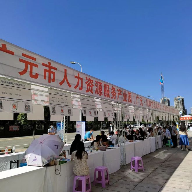 廣元最新招聘資訊詳解，觀點(diǎn)闡述與解析