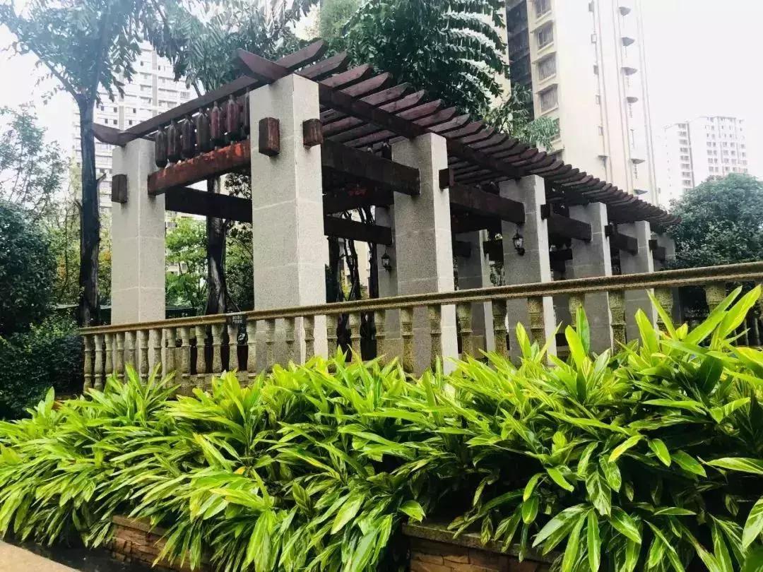 陽光江山金岸最新動態(tài)揭秘，全面指南與步驟詳解