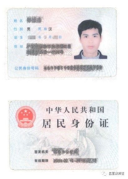 最新證照，友情與陪伴的溫馨故事之旅