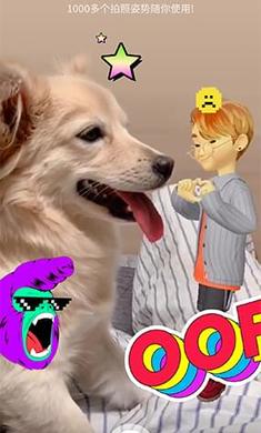 崽崽最新版下載，一段充滿愛與陪伴的溫馨旅程