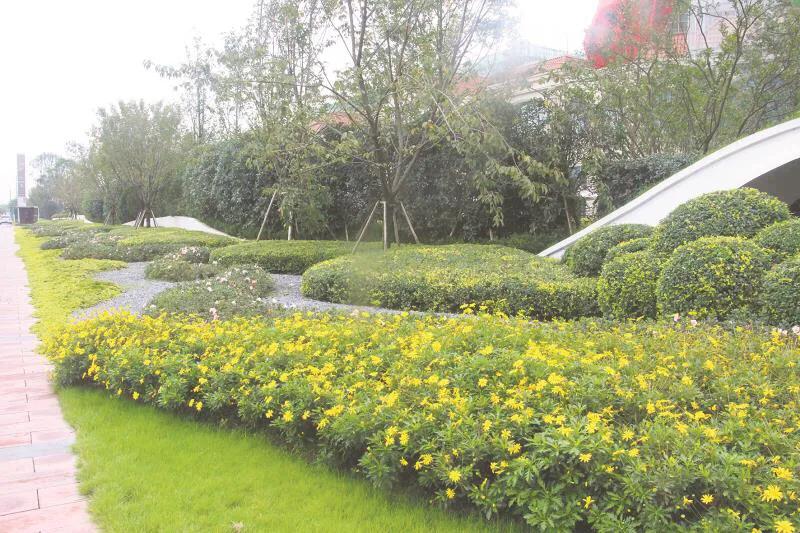 嬢王演員的自然之旅，邂逅美景，尋找內(nèi)心平和之道