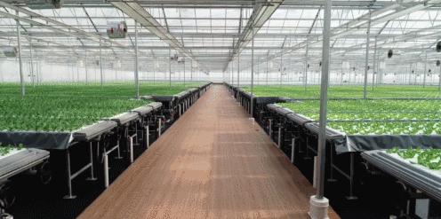 劉東強(qiáng)新動(dòng)態(tài)，時(shí)代浪潮中的矚目焦點(diǎn)人物