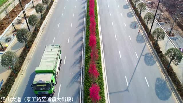 關(guān)花大道最新進(jìn)展，矚目盛景呈現(xiàn)！