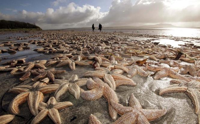 死亡擱淺電影，小巷深處的獨特觀影之旅
