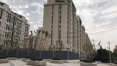 趙村最新動(dòng)態(tài)，鄉(xiāng)村振興新篇章開(kāi)啟