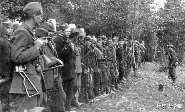 南斯拉夫電影二戰(zhàn)老片，自然美景背后的探索之旅